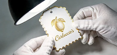 /Choose a Foil Stamping Machine