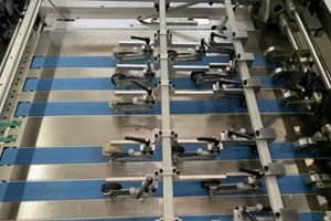 Paper Conveyor Belt